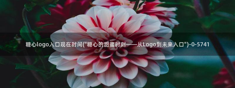 《糖心》：糖心logo入口现在时间(\