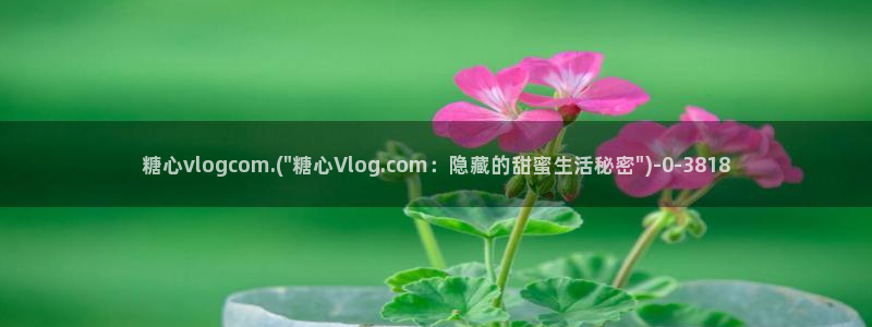 糖心vlgo白丝免费观看