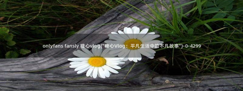 糖心vlgo陈思思